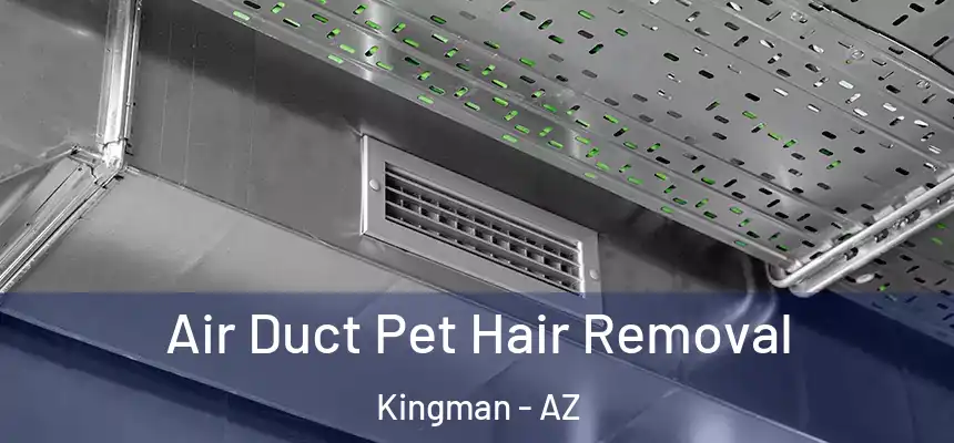  Air Duct Pet Hair Removal Kingman - AZ