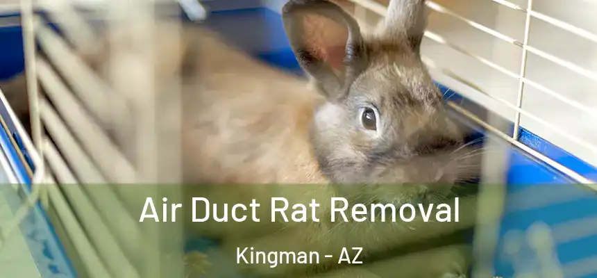 Air Duct Rat Removal Kingman - AZ