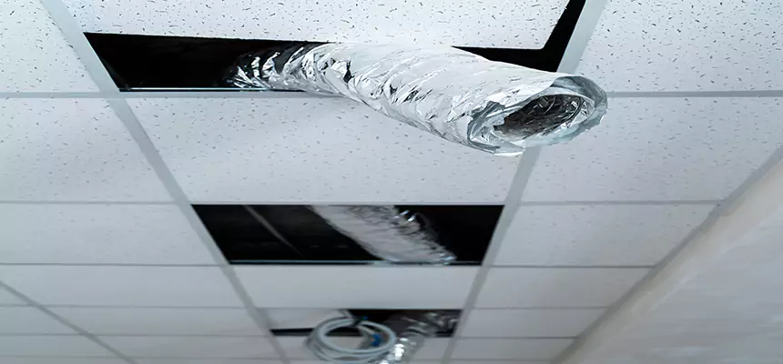 Affordable HVAC Sanitizing After Pest Removal in Kingman