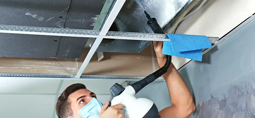 Our Air Duct Rodent Removal Services in Kingman, AZ