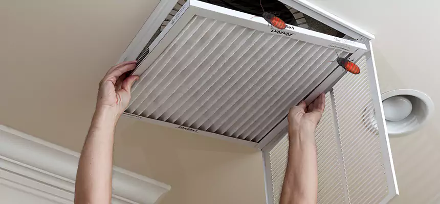 Our Insect Removal from Air Ducts Services in Kingman, AZ