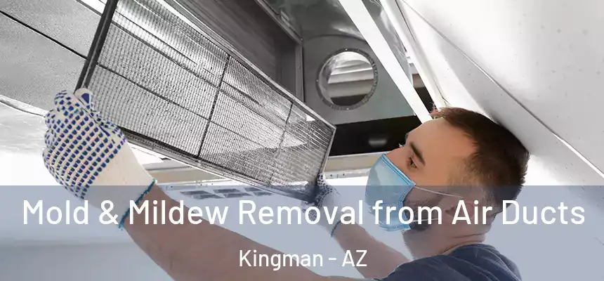  Mold & Mildew Removal from Air Ducts Kingman - AZ