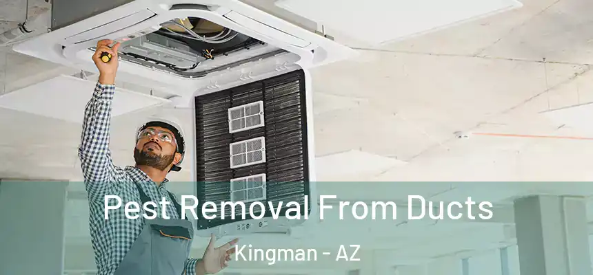  Pest Removal From Ducts Kingman - AZ