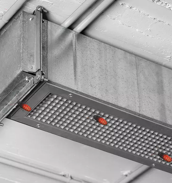 Affordable Insect Removal from Air Ducts in Kingman, AZ