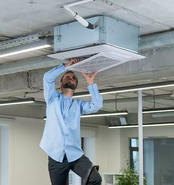 Advanced Rodent Droppings In Vents in Kingman, AZ