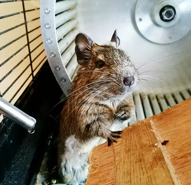 Why Homeowners & Businesses Trust Us Kingman, AZ